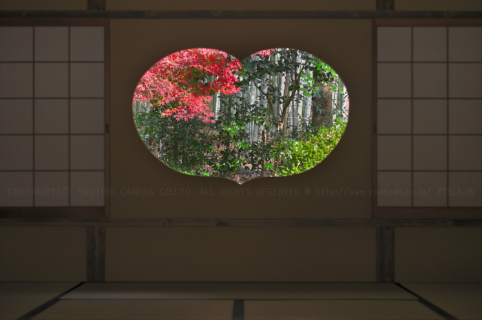 【美品】ショット数少❣Nikon D5000❣お花やカフェ巡りに❣画面回転❣ 美品】ショット数少❣Nikon D5000❣お花やカフェ巡りに❣画面